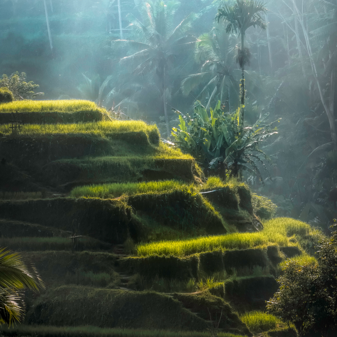 INDOO.art vereint Kunst, Natur und Nachhaltigkeit