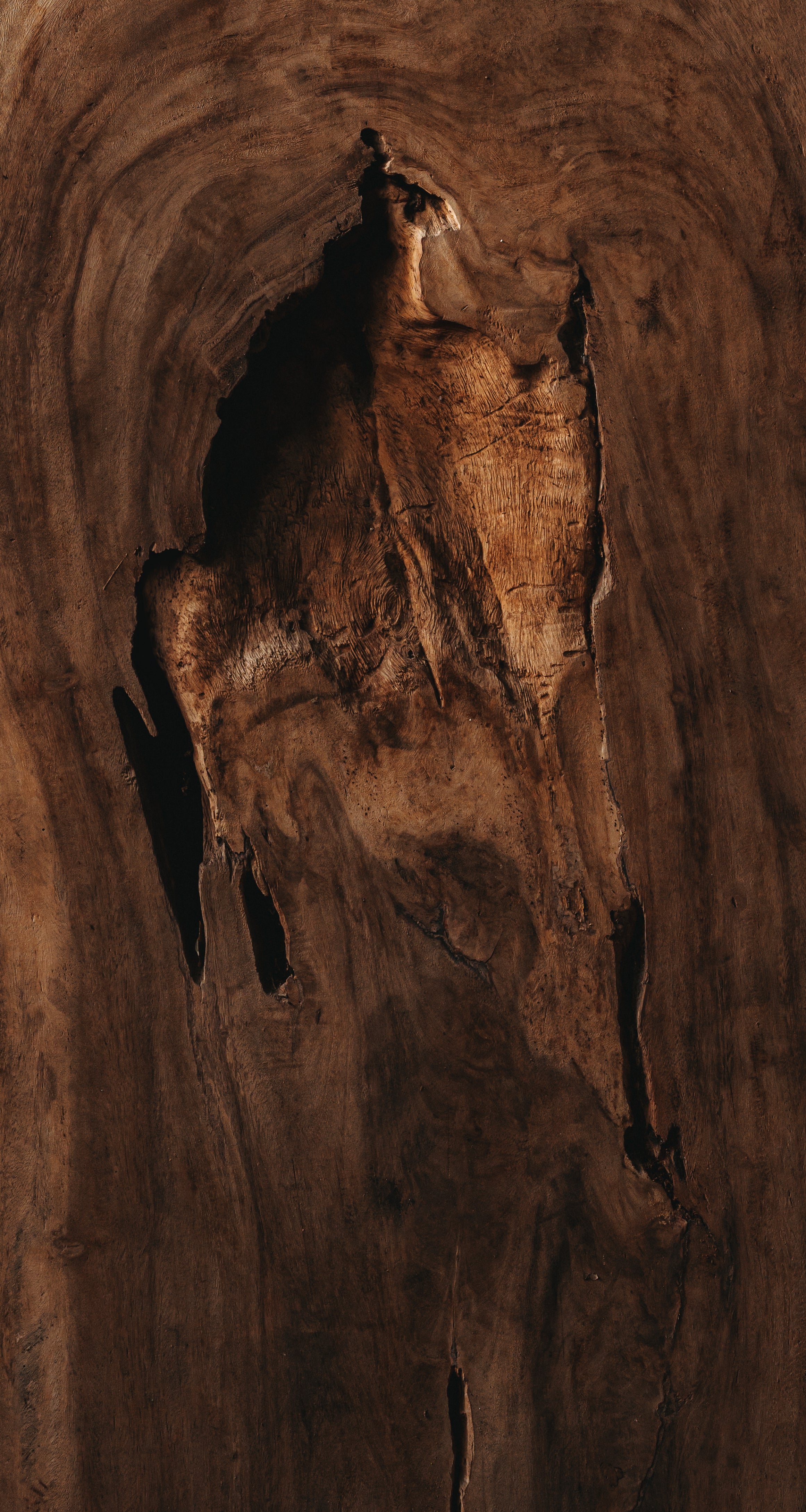 Nahaufnahme nachhaltig geschlagenes Teakholz für die Verwendung von INDOOs hochwertigen Möbeln und Dekorationen